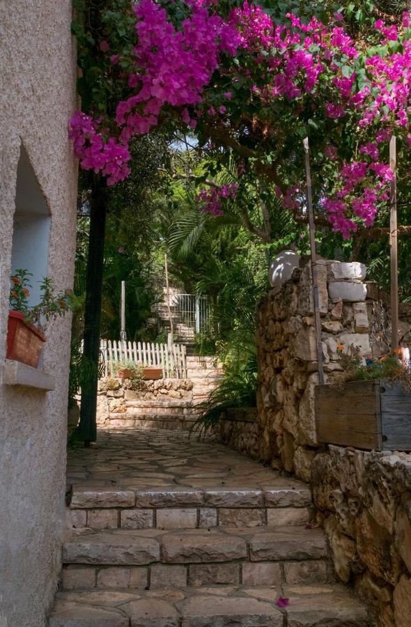 Natural Reserve Apartment Zikhron Ya'akov Buitenkant foto