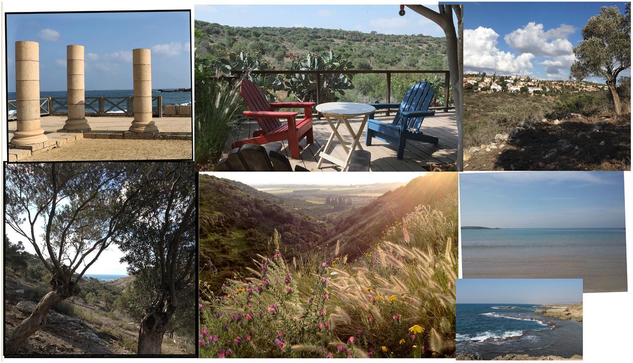 Natural Reserve Apartment Zikhron Ya'akov Buitenkant foto